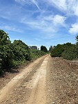 IMG_5546