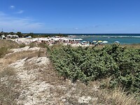 IMG_5541