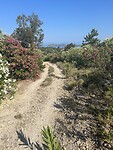 IMG_5773