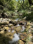 IMG_5838