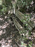 IMG_5837