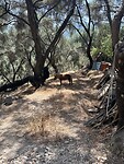IMG_5839