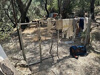 IMG_5842