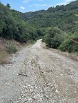 IMG_5951