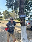 IMG_6017