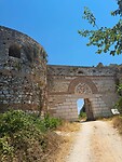 IMG_6091