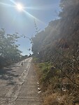 IMG_6257
