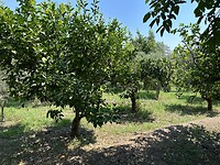 IMG_6266