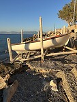 IMG_6317