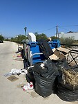 IMG_6390