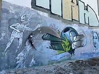 IMG_6399