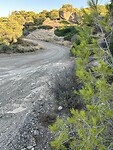 IMG_6455