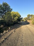IMG_6453