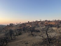 IMG_6444