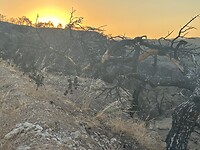IMG_6447