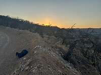 IMG_6442