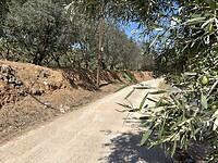 IMG_6504