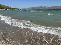 IMG_6495