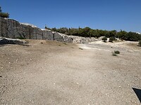 IMG_6559