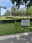 IMG_8996