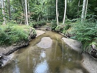 IMG_9049