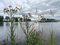 IMG_8957