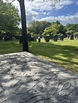 IMG_8965