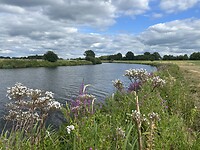 IMG_8969
