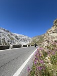 IMG_2882