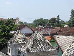IMG_3713