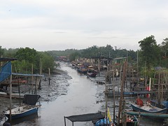 IMG_4005