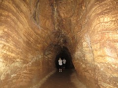 IMG_4431