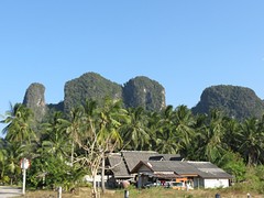 IMG_4310