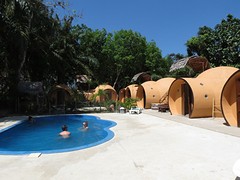 IMG_4311