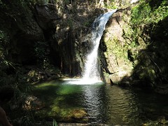 IMG_4317