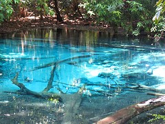 IMG_4366