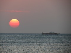 IMG_4417