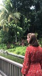 Monkey Forrest