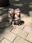 Zo schattig!