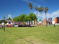 PB250976