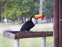 PC051739