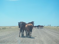 P1153364