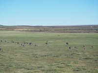 P1153333