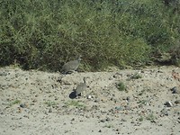 P1143305