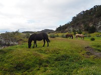 P1193598