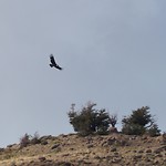 20190205_205726