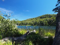 P2264860