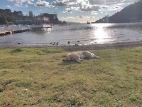 IMG_20190304_185219