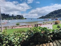 IMG_20190301_142008