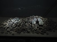P3225465